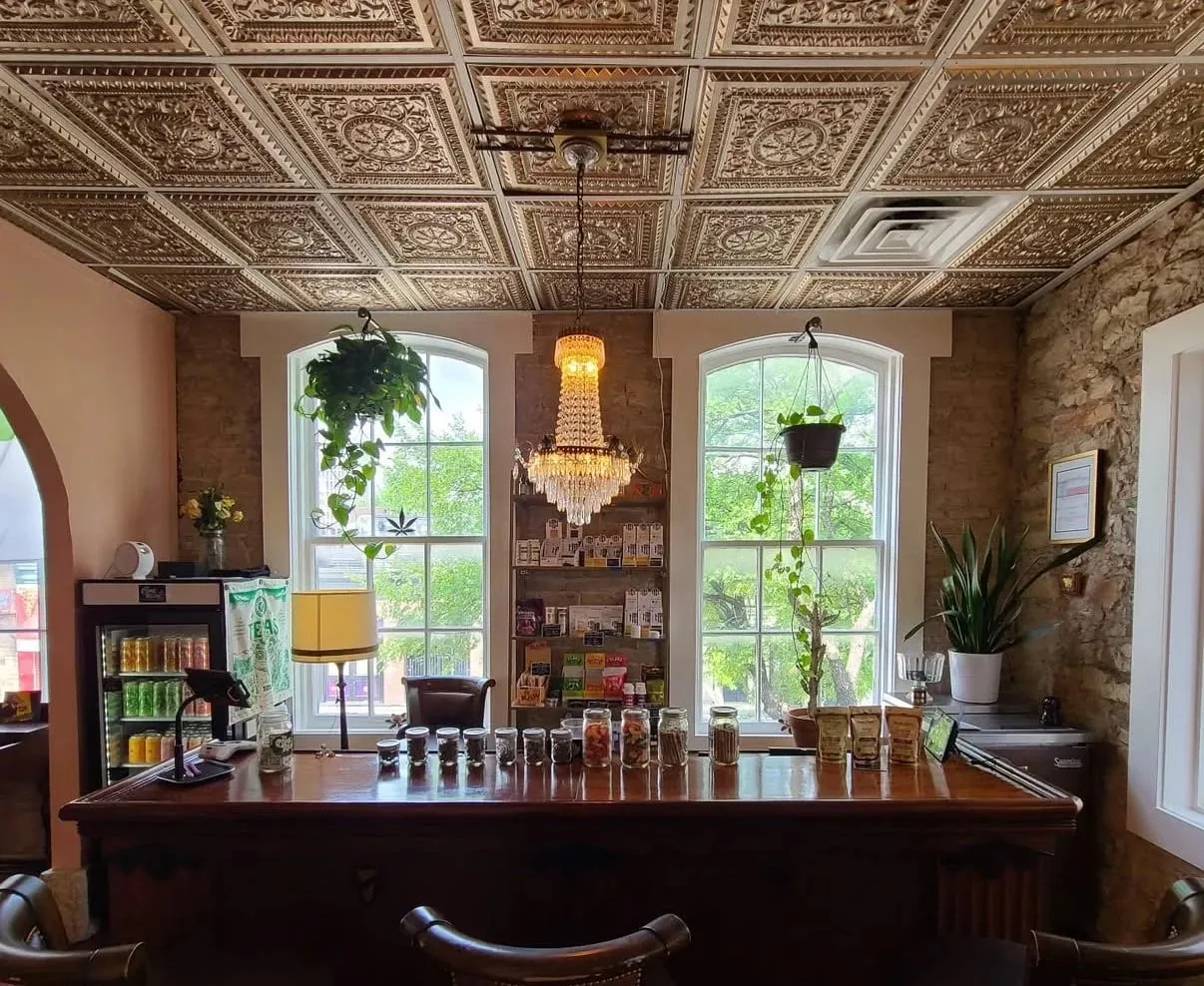 Inside The Comic Releaf — wooden counter under a chandelier and pressed-tin ceiling